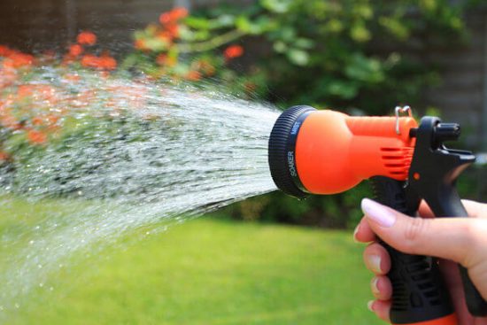 Garden hose projecting cold water helps to get rid of aphids