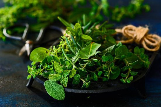 Herbs in a pot work best as aphid repellent plants