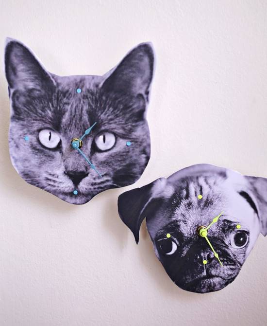 DIY Pet Photo Wall Clock