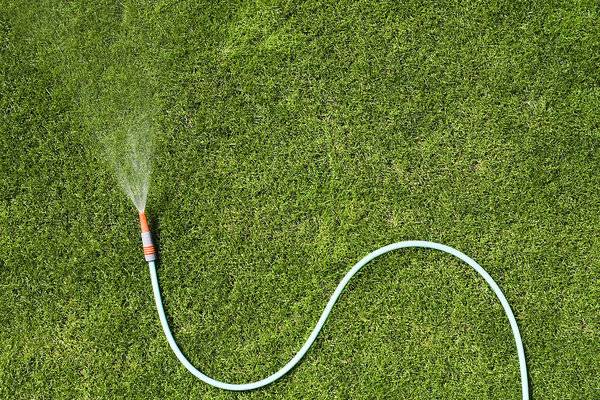 Watering Grass With Hose Pipe