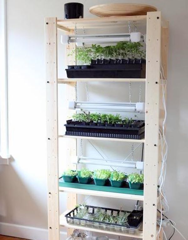 diy indoor seed starting greenhouse
