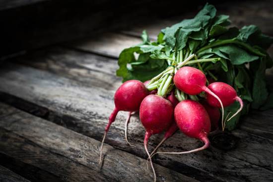 Fresh organic red radish