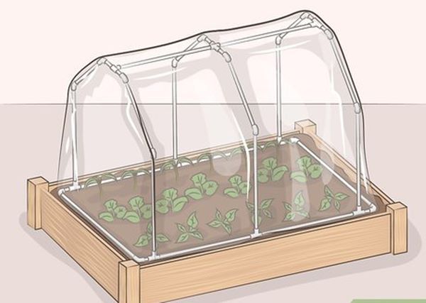 diy mini indoor greenhouse