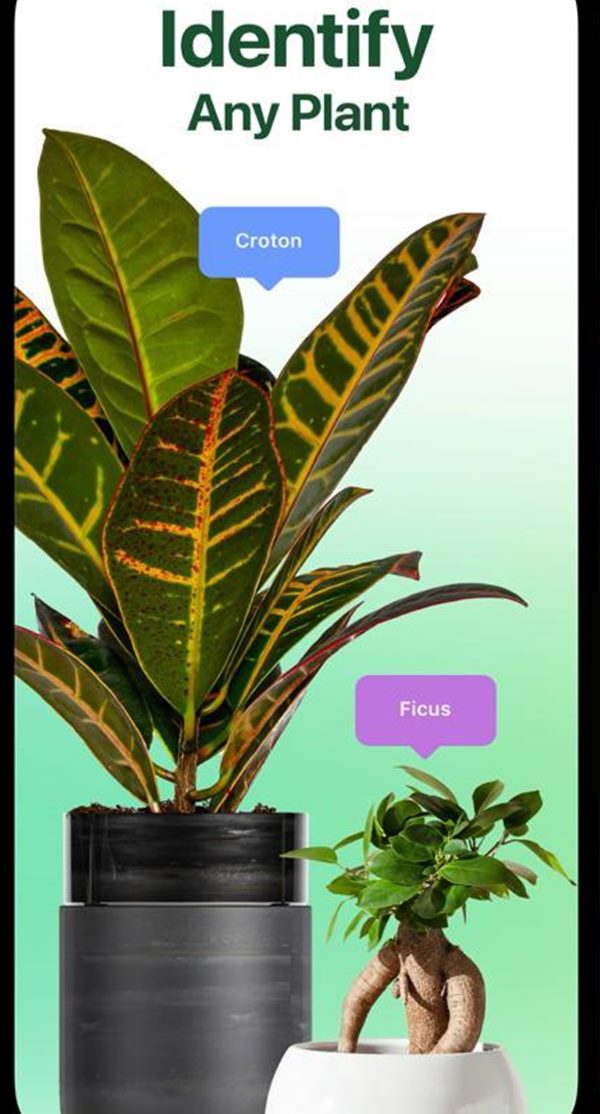 Best Gardening Apps of 2021 Gardening apps for android and iOS