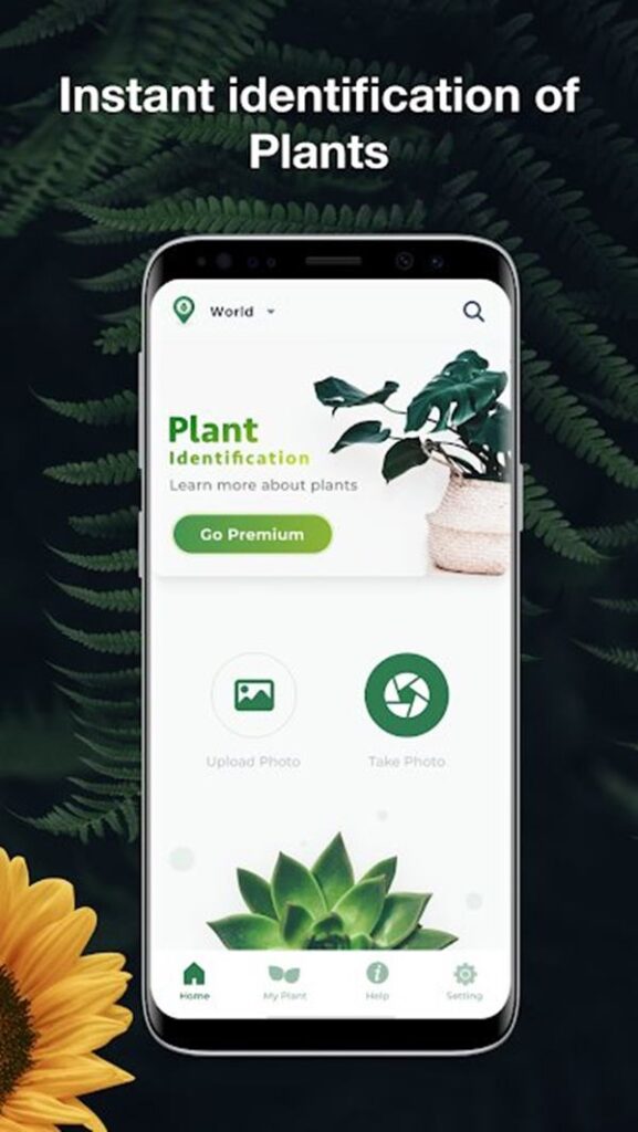 Leaf Snap gardening app