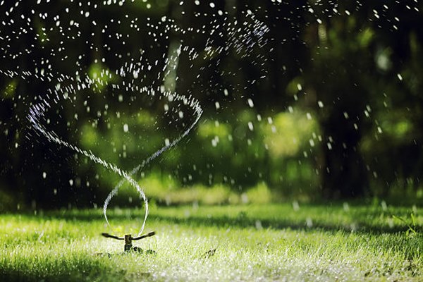 motion activated sprinkler in garden