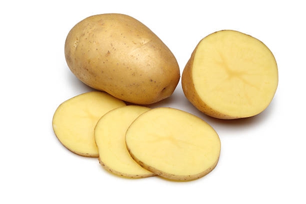 potato slice used as fungus gnat trap