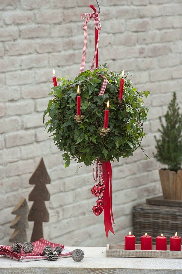 Hedera helix hanging from ceiling for christmas decoration