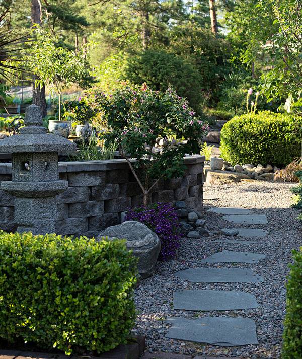 stepping stone cheap garden path