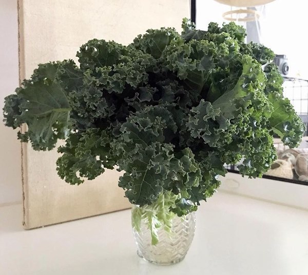 kale in a glass vase