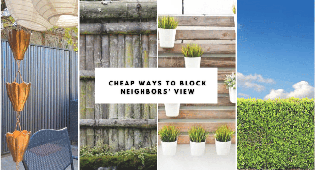 15 Cheap Ways to Block Neighbors’ View for Privacy in Garden