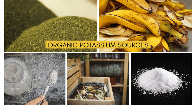 Organic potassium sources