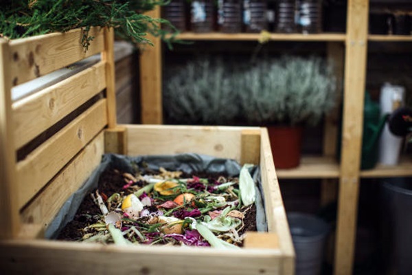 compost in wooden box