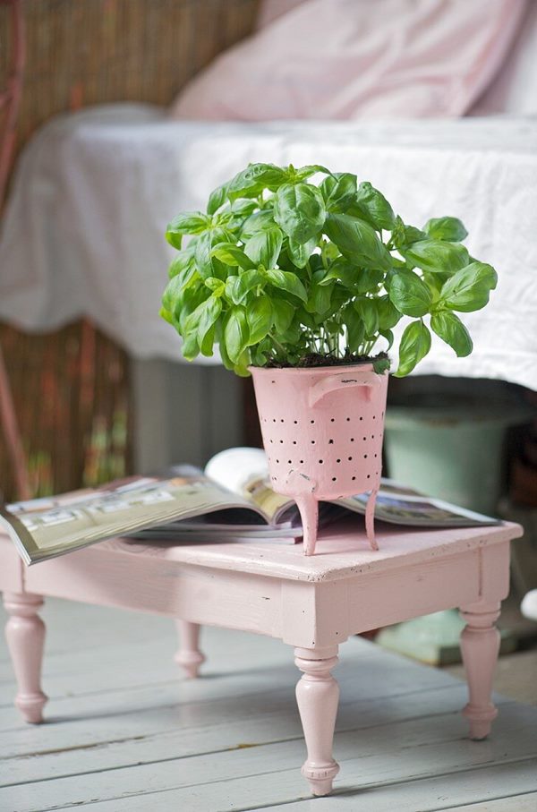 basil in container over vintage stool