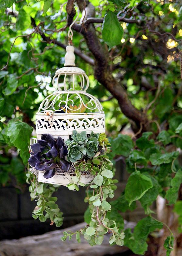DIY birdcage succulent planter