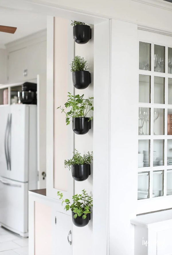 vertical herb garden for modern apartment