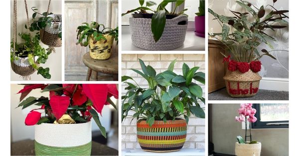 9 Plant Basket Ideas to Beautify Your Home