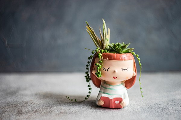 succulent in cute girl decorative pot