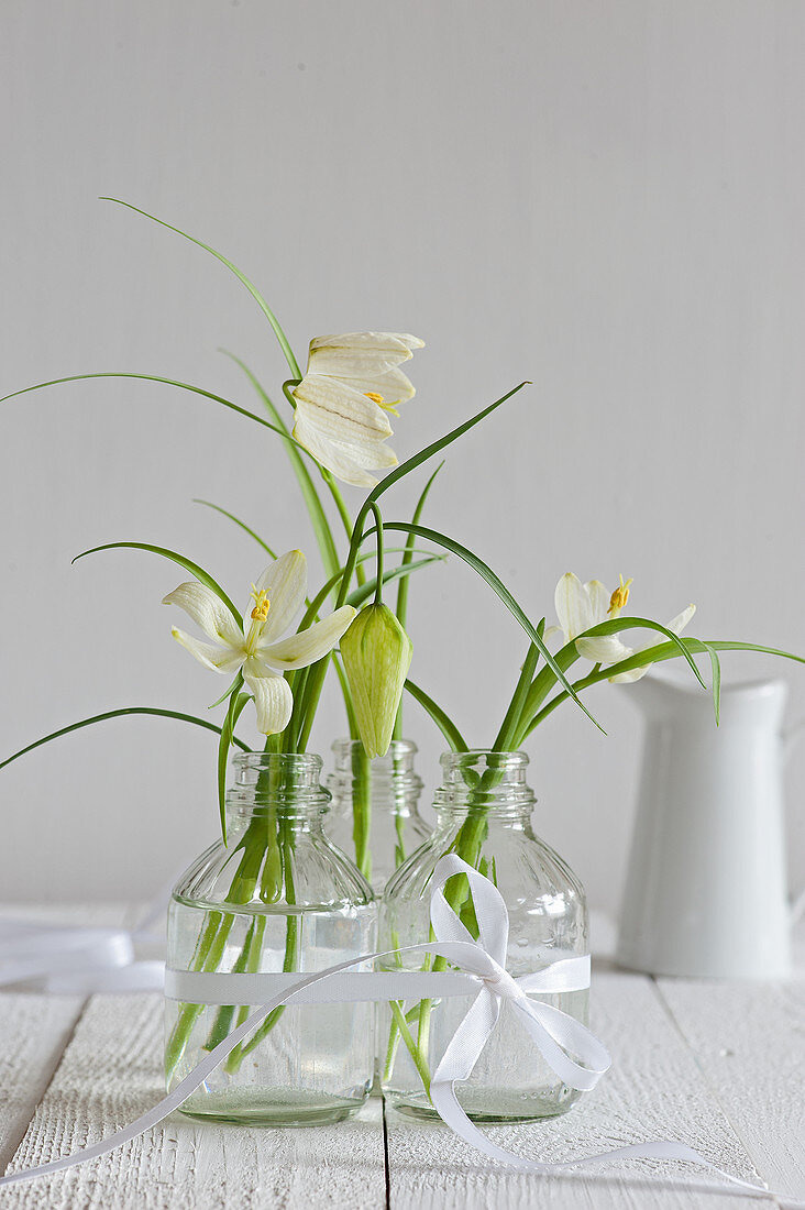 Snake’s Head Fritillaries in glass vase